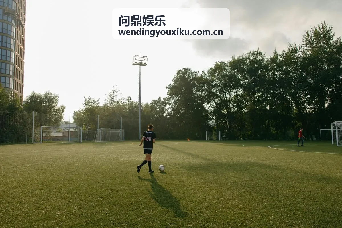 问鼎娱乐会员体系全面升级
